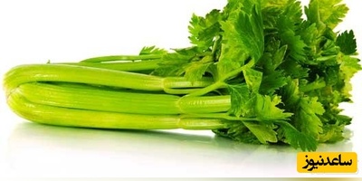 دیدن کرفس در خواب چه تعبیری دارد؟ / تعبیر خواب کرفس