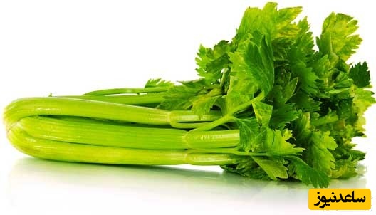 دیدن کرفس در خواب چه تعبیری دارد؟ / تعبیر خواب کرفس