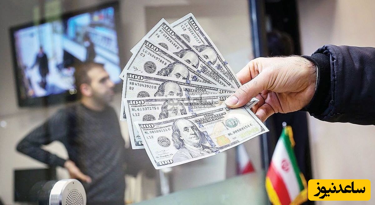 پیش‌بینی جالب یک اقتصاددان معروف درباره قیمت دلار در هفته آخر آذر/ الان دلار بخریم یا نخریم؟/سقوط آزاد در راه است؟