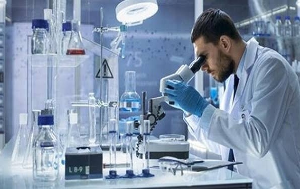 افتخارآفرینی سه پژوهشگر ایرانی در میان بزرگ‌ترین دانشمندان جهان!