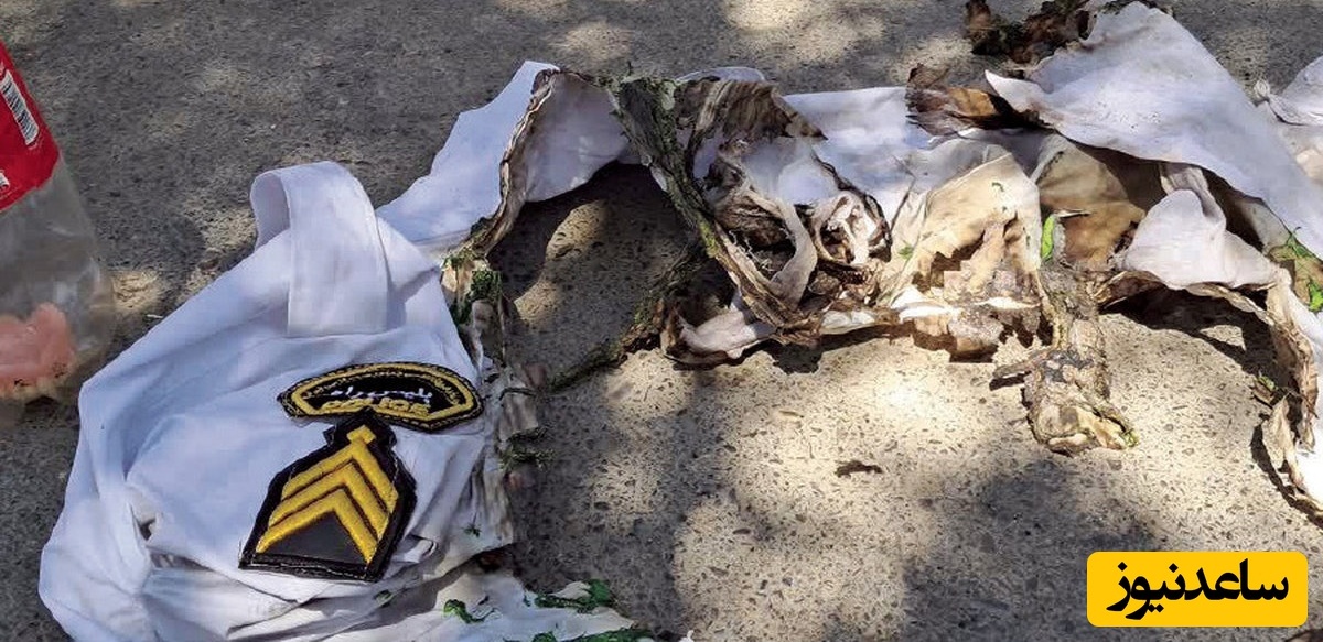 مرگ عجیب و مرموز راننده مشهدی بعد از آتش زدن مامور پلیس راه؛ در وضعیت عادی نبود؟