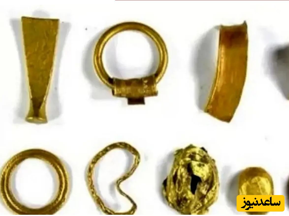 پیدا شدن حلقه‌های طلایی باستانی در مزرعۀ کلم