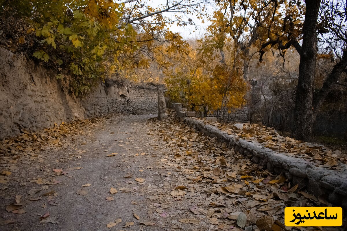 کوچه باغ کن