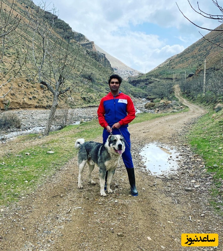 شهاب شادابی