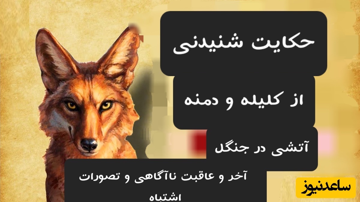 حکایت های خواندنی/ آتشی در جنگل؛ آموزنده‌ترین داستان کلیله و دمنه/ آخر و عاقبت  ناآگاهی، غفلت و تصورات اشتباه