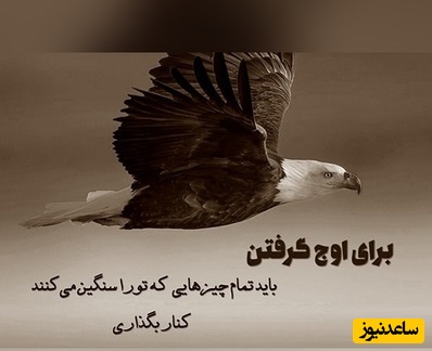 پیام انگیزشی امروز مخصوص تو؛ وقتی هیچ‌کس تو رو درک نمی‌کنه، وقتی حس می‌کنی تنهائی، اون لحظه‌ها مقدسن. چون.../ پیام انگیزشی امروز 16 اسفند 1404+ ویدئو