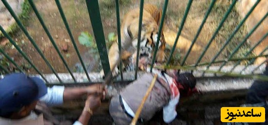 حادثه در باغ وحش