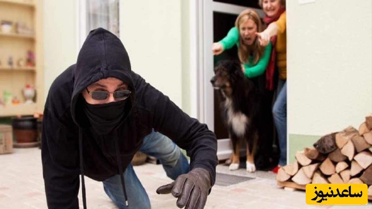 کتک زدن دزدی که وارد خانه شده چه مجازاتی دارد؟