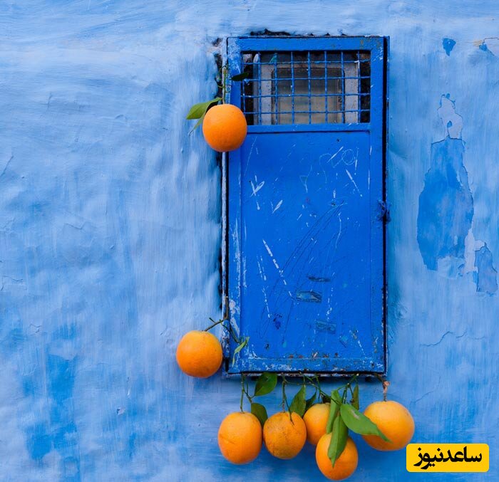 پرتقال های ترش مراکش 