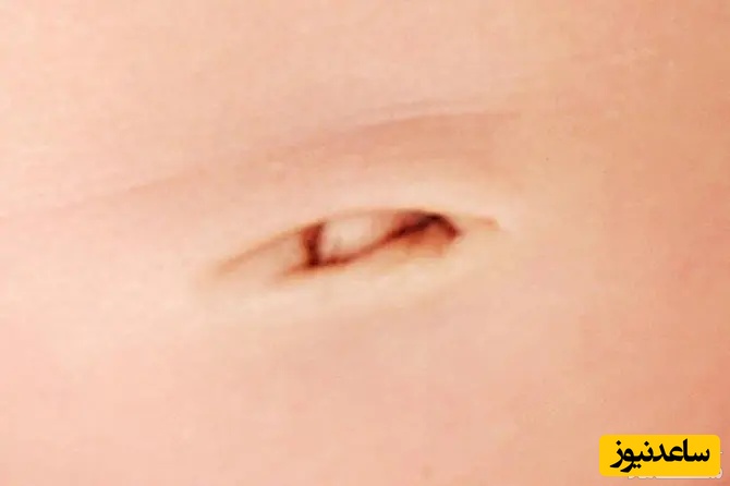 ناف
