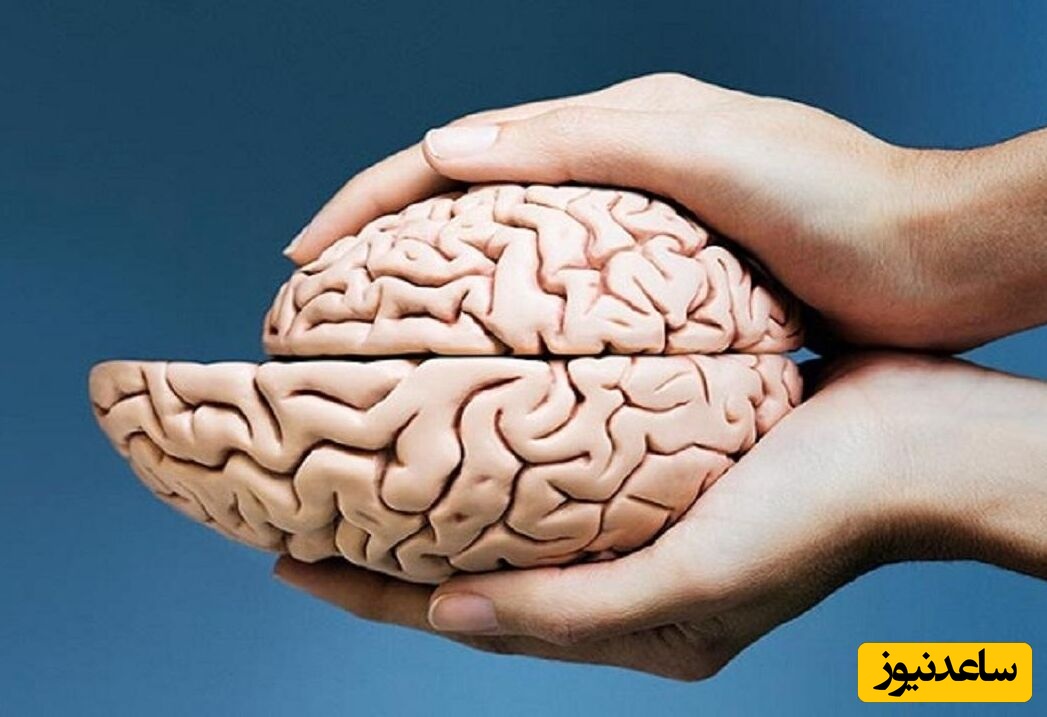 کمبود این ویتامین مغز را کوچک می‌کند! یک هشدار جدی برای سلامت ذهن شما