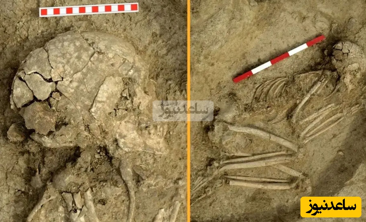 کشف اسکلت نوجوانی که 6 هزار سال قبل مورد حملۀ «شیر» قرار گرفت