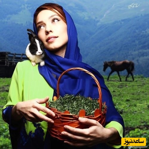 شهرزاد کمال زاده 