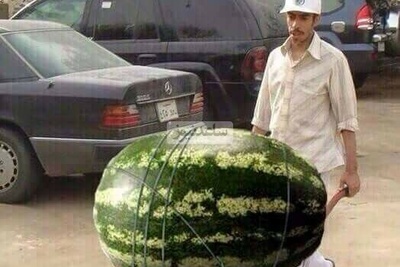 خلاقیت خنده دار هندوانه فروش سمنانی در آستانه شب یلدا حماسه ساز شد/ وقتی بچه رو دو دقیقه میسپری دست باباش😂+عکس