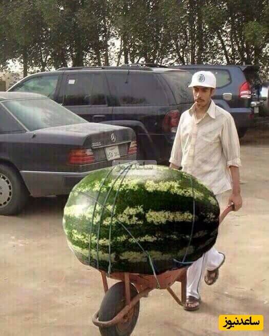 خلاقیت خنده دار هندوانه فروش سمنانی در آستانه شب یلدا حماسه ساز شد/ وقتی بچه رو دو دقیقه میسپری دست باباش😂+عکس