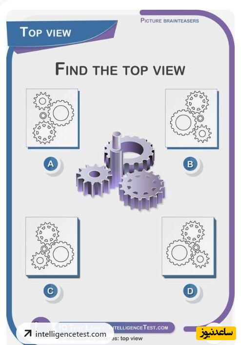 چالش روزانه‌ی باهوش شو!/ فقط افرادی که IQ بالای 120 دارن میتونن این معما رو حل کنند/  نمای بالایی این تصویر کدوم گزینه‌است؟