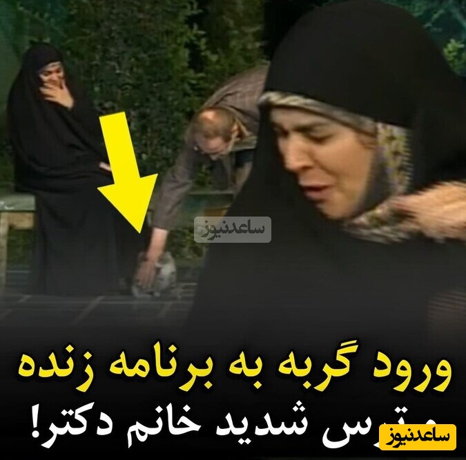 جیغ خانم دکتر در آنتن زنده با ورود گربه بازیگوش به زیر پای او + ویدئو / گربه است دیگه پلنگ که نیست 🙄