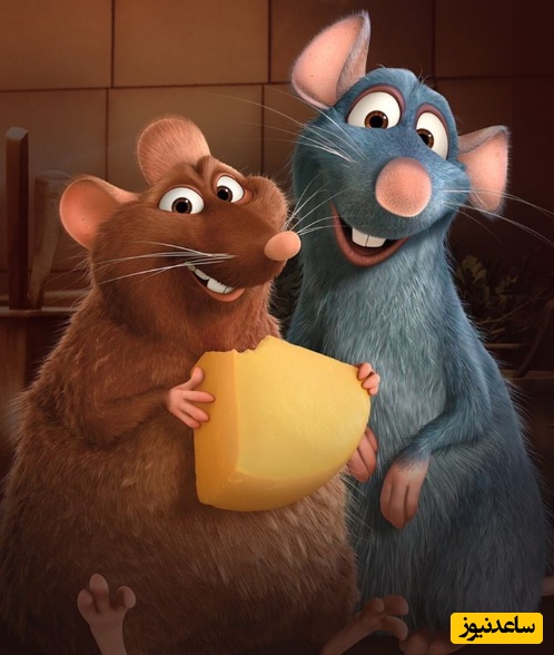 معما تصویری | فکر میکنی چشم تیز بین و هوش بالایی داری پس زیر 6 ثانیه بگو چندتا موش توی تصویر وجود داره؟