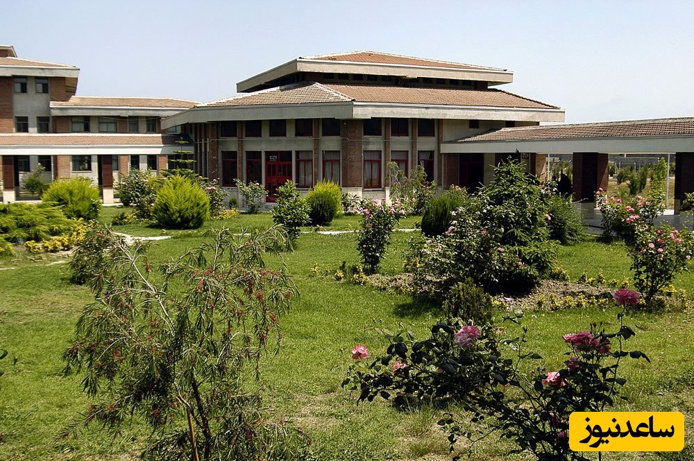 (ویدیو) نگاهی نزدیک به دانشگاه مازندران/ میان درختان سرسبز و نسیم خنک دریای مازندران با فضایی آرام و دلنشین برای اندیشه و یادگیری🤩