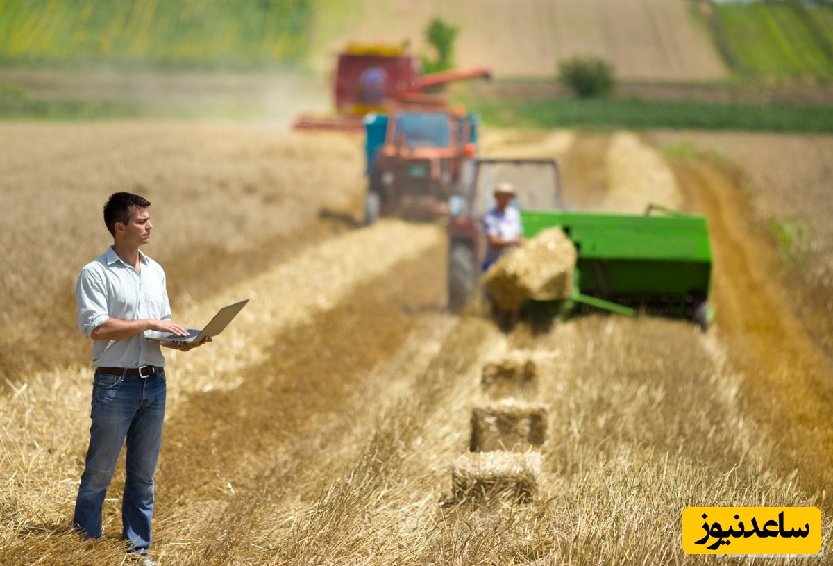 دانلود نمونه رزومه مهندس کشاورزی