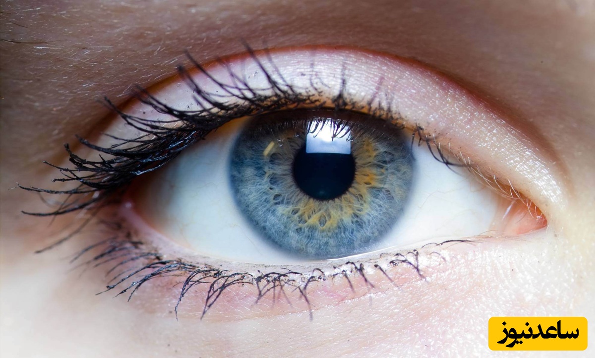 ویدیو / ترسناک‌ترین تئوری در مورد بدن انسان؛ چشم‌هایی که قربانی اشتباه سیستم ایمنی می‌شوند!