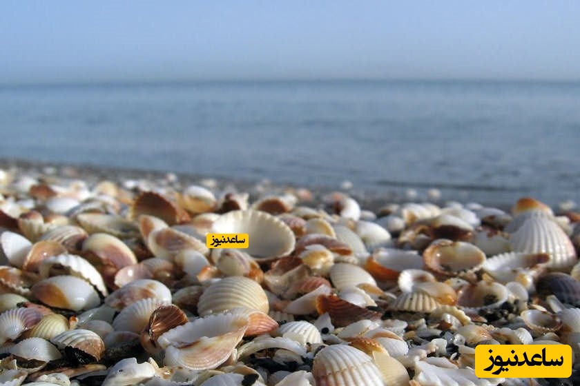 ساحل صدف آستارا 