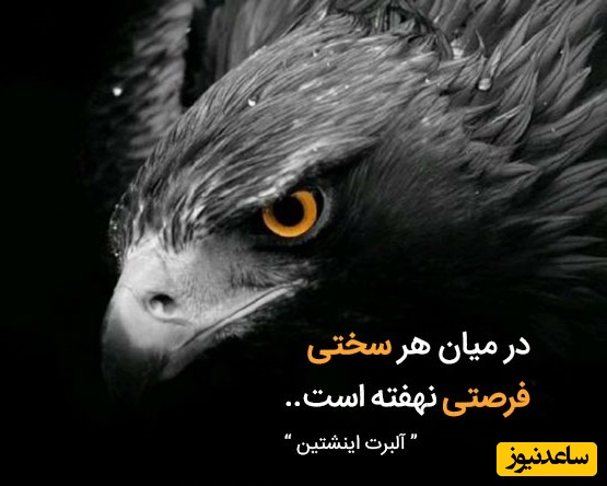 کائنات پیام ویژه ای برات داره/ گاهی همین کافیست؛به کنجی امن و بی‌صدا پناه ببریم، دور از هیاهو، جایی که سکوت، آهسته خستگیهای مانده در جانمان را در آغوش بگیرد/ پیام انگیزشی امروز 7 اسفند+ ویدئو