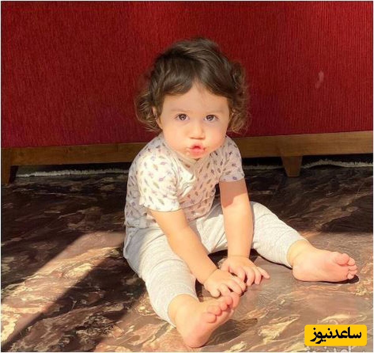 وقتی نبات استخری شعبده باز میشه!