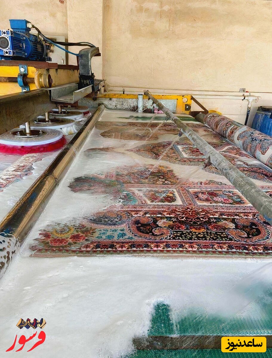 فرشور یا دیوار؟ مقایسه بزرگترین رسانه و قالیشویی های کشور [ +3 ویژگی برتر!]