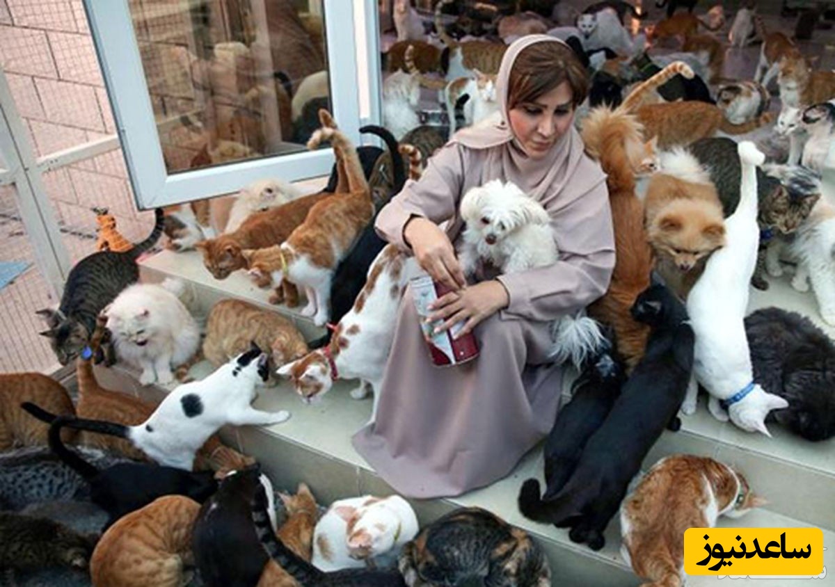 زندگی عجیب زن عمانی با ۵۰۰ گربه و سگ در خانه