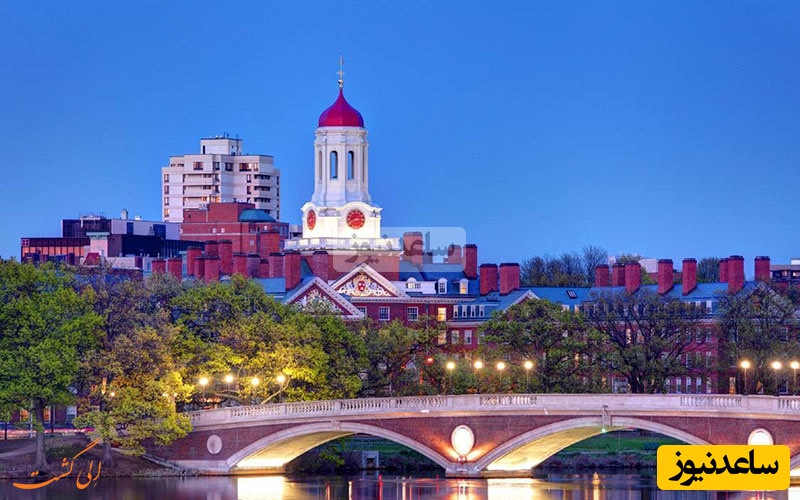 دانشگاه هاروارد