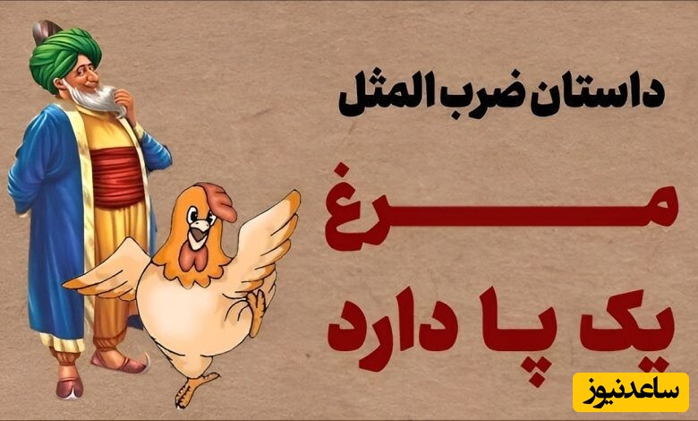 داستان ضرب المثل مرغ یک پا دارد / حکایت طنز از لجبازی ملانصرالدین؛ فقط ملا می‌تونه همچین جوابی بده!😂+ ویدئو