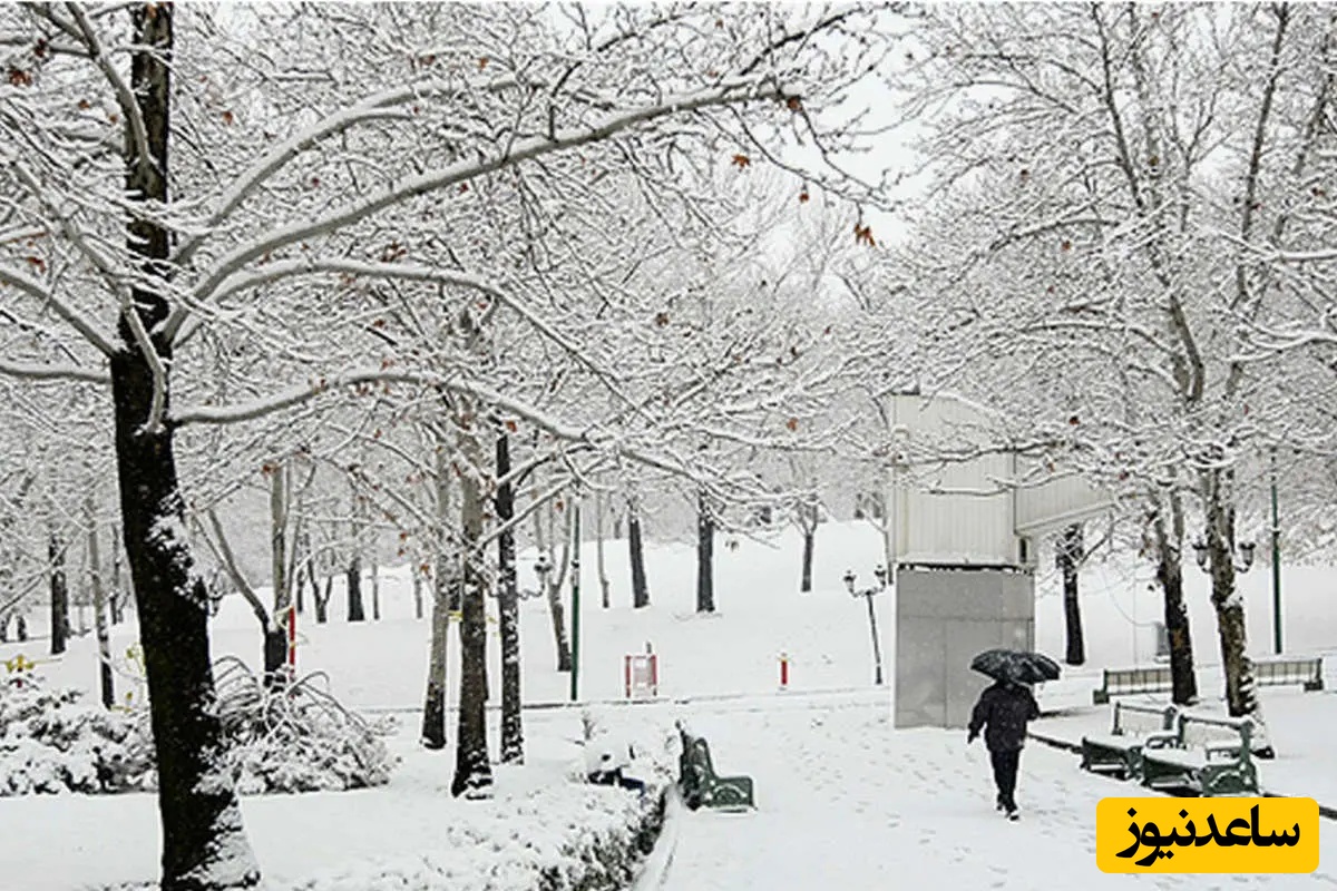 بارش اولین برف سال 1404، پیرانشهر را سفیدپوش کرد + فیلم