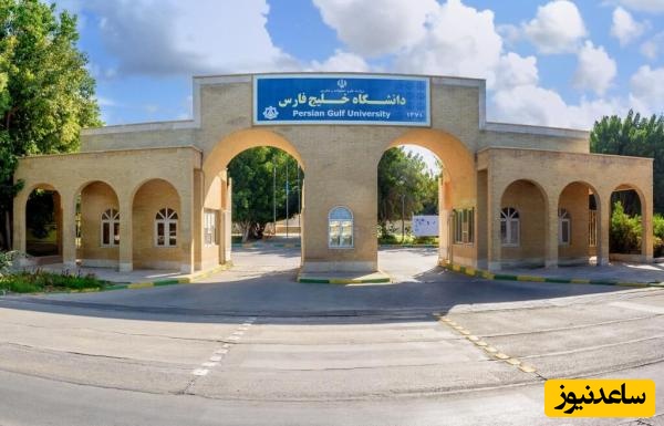 (ویدیو) نگاهی به دانشگاه بوشهر/ از کلاس تا موج‌های خلیج فارس تجربه‌ای زیبا از علم، هیجان و زندگی دانشجویی🤩