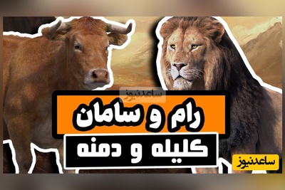 (ویدئو) حکایت پندآموز کلیله و دمنه درباره‌ی حسادت و دهن‌بین بودن؛ چگونه یک شغال پایان یک دوستی ابدی شد؟!