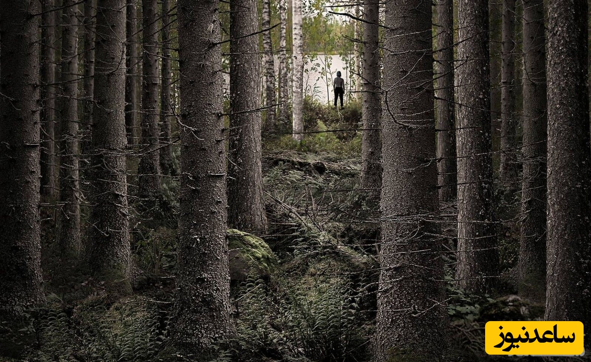 دیدن گم شدن در خواب چه تعبیری دارد؟ / تعبیر خواب گم شدن