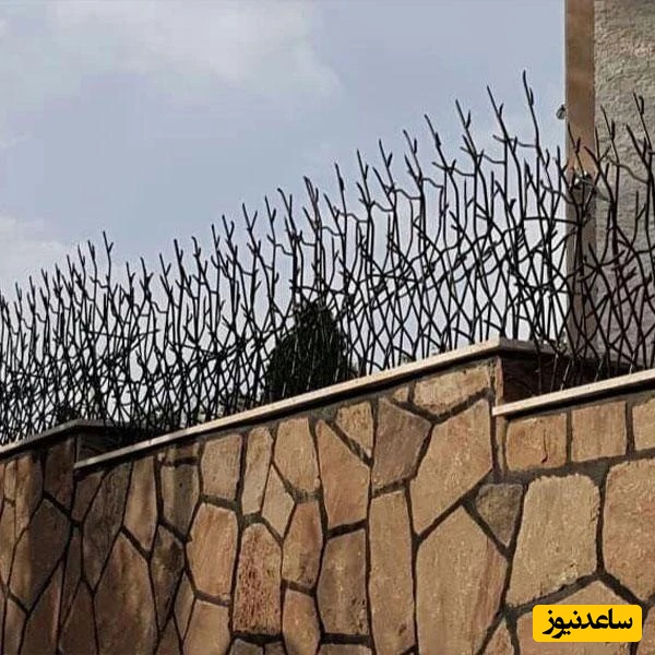 معرفی حفاظ شاخ گوزنی: زیبایی، ایمنی و کاربردها در طراحی فضا