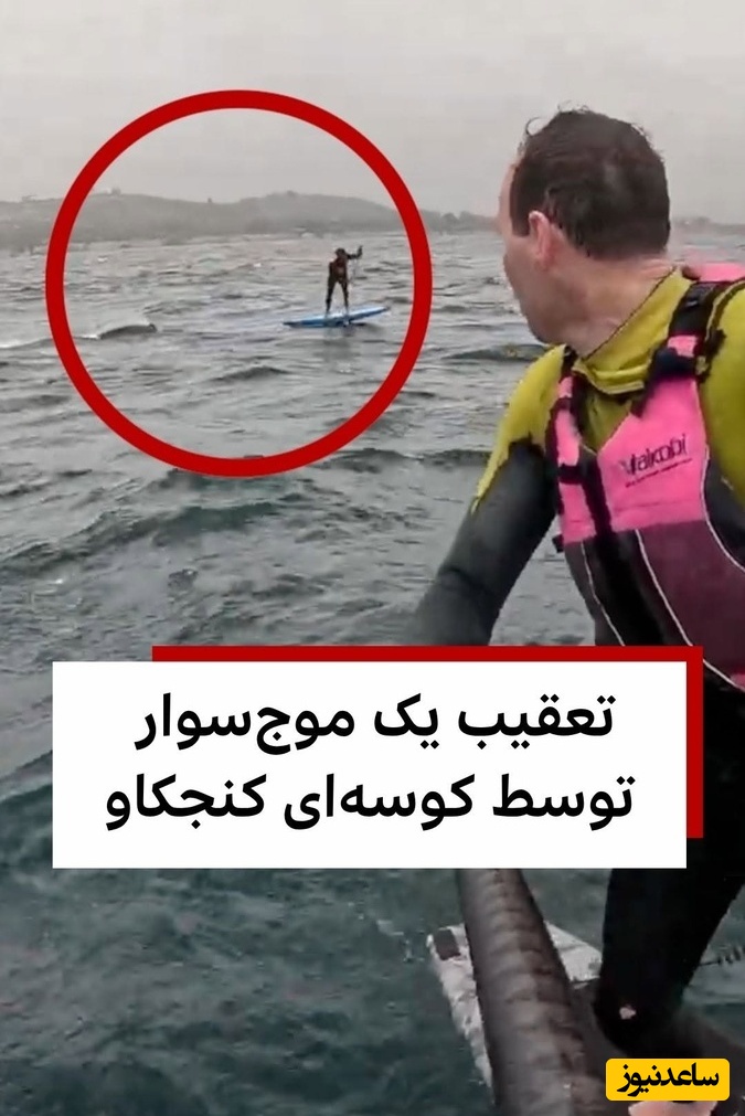 لحظه نفس‌گیر تعقیب موج‌سوار توسط کوسه غول‌پیکر در کالیفرنیا + فیلم