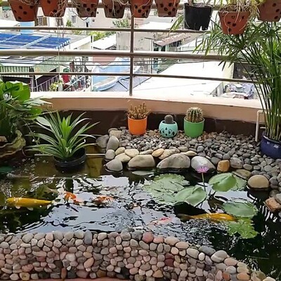 خلاقیت تحسین برانگیز معمار برای ساخت برکه آب و فضای سبز در تراس آپارتمان؛ تو همچین بالکنی دیگه رویای خانه ویلایی نداری😍 چگونه بالکن سبز درست کنیم؟
