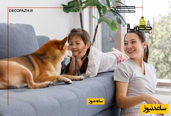 خرید مبلمان می تواند طاقت فرسا باشد، اگر؟!!!