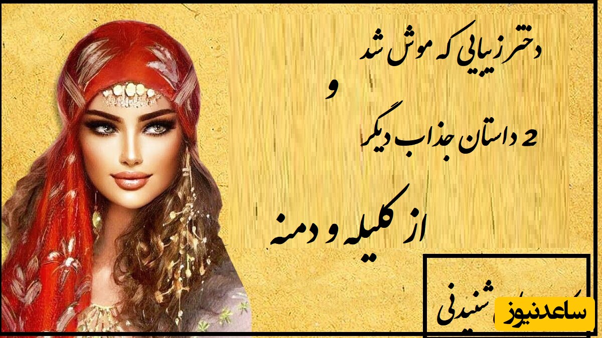 داستان های کلیله و دمنه/ 3 حکایت کوتاه ولی شیرین از دوستی‌ و عشق حقیقی/ داستان هم داستانهای قدیمی👌