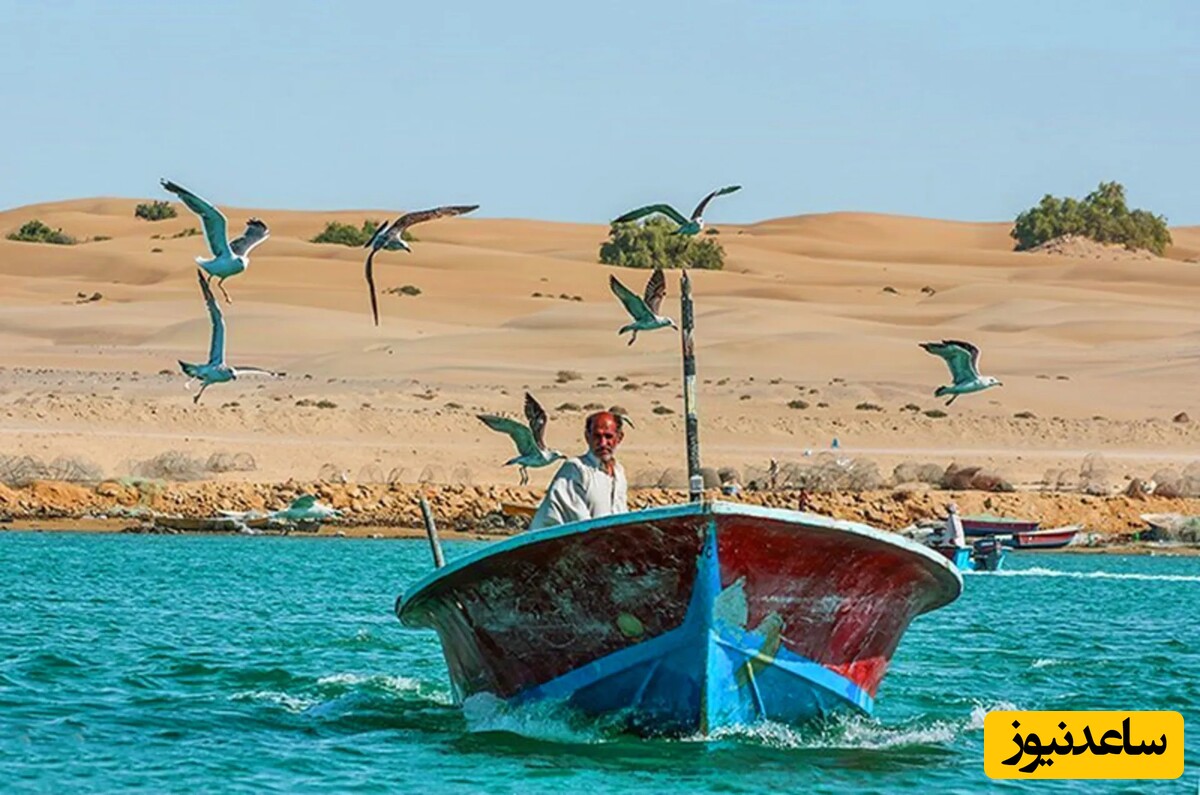 ساحل درک