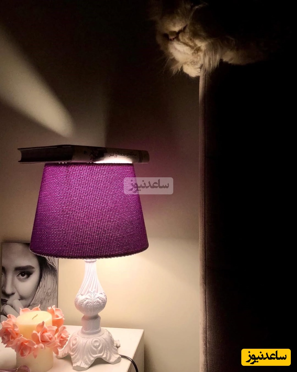 چیدمان منزل علی اوجی و نرگس محمدی