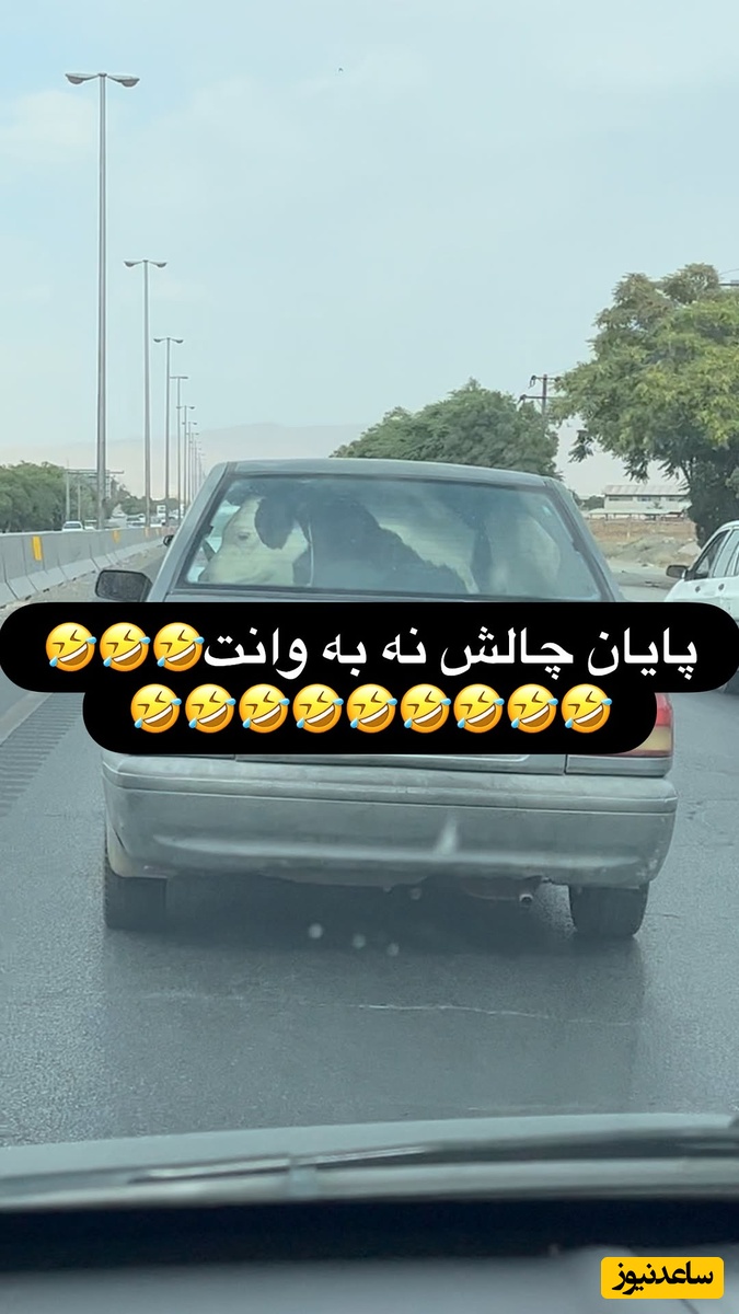 پایان چالش نه به وانت؛ جابجایی‌های غول‌آسا با پراید / این دیگه آخر ابتکار بود، بیخود نیست میگن ایرانیا همیشه یه راه حلی دارن😂