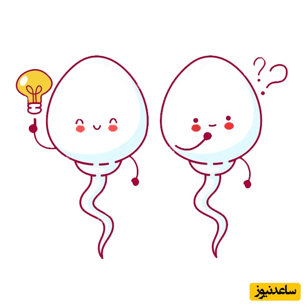  رابطه جنسی می‌تواند خلاقیت را افزایش دهد