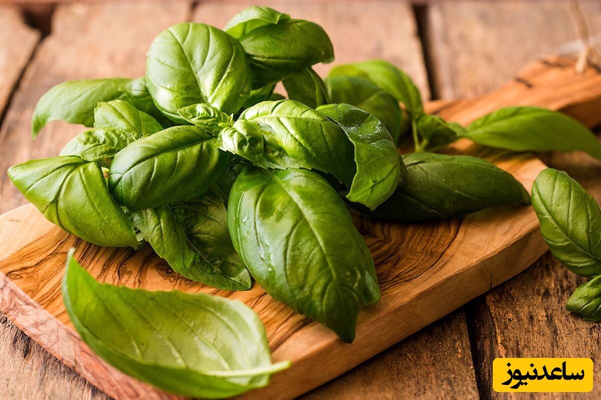 سبزی خوردن