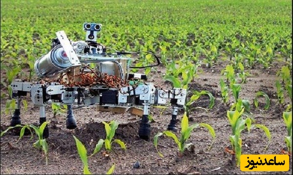 منابع دروس آزمون رشته علوم و مهندسی آب - هواشناسی کشاورزی و ضرایب آن در مقطع دکتری