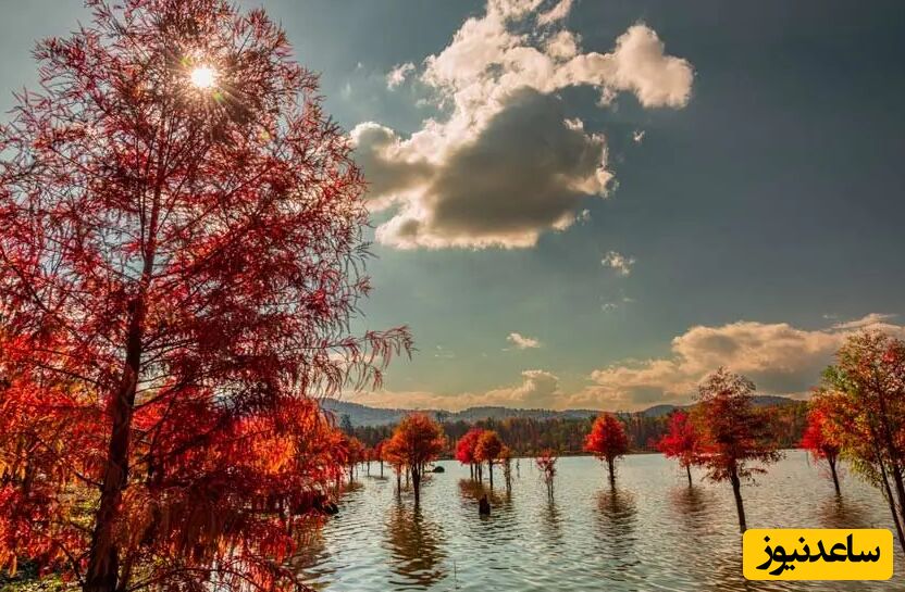 دریاچه الندان، بهشتی حیرت‌انگیز در ساری