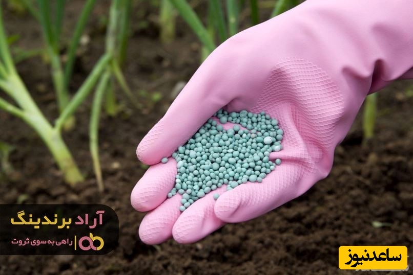 خرید کود فسفر برای کاکتوس با قیمت عمده و مناسب