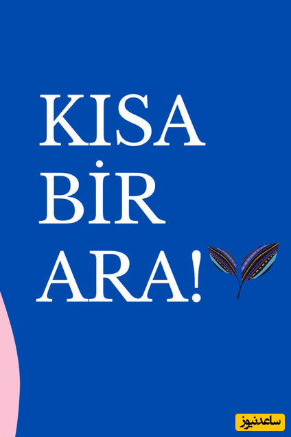 Kısa Bir Ara